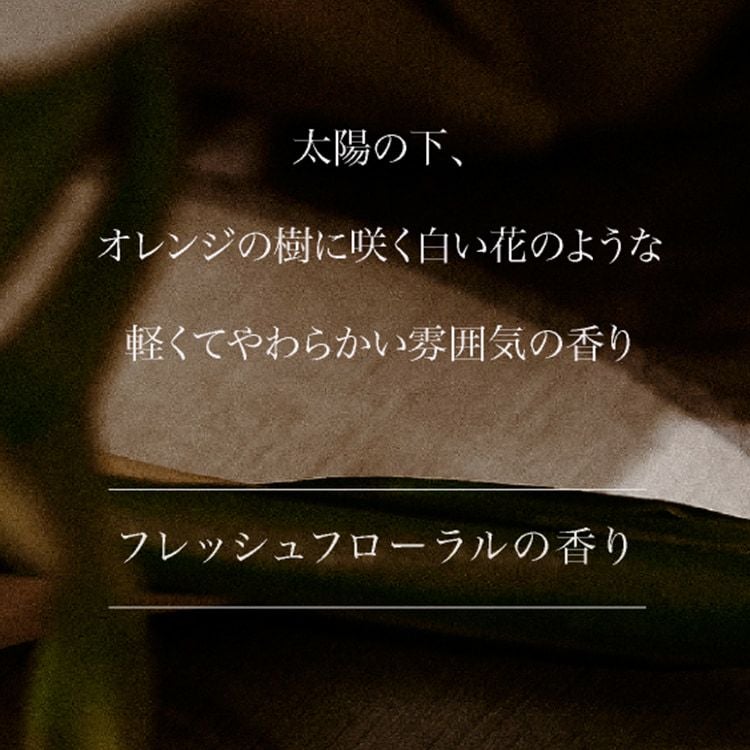 ARTiS di Voce ハンドウォッシュ 220ml 3301 DEW OF NEROLIの通販