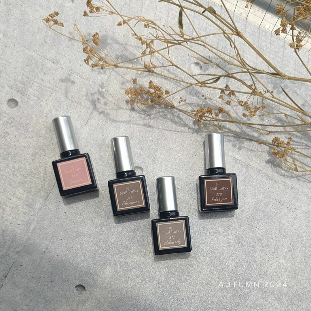 カラージェル 317 メランコリーの通販｜カラージェル｜by Nail Labo