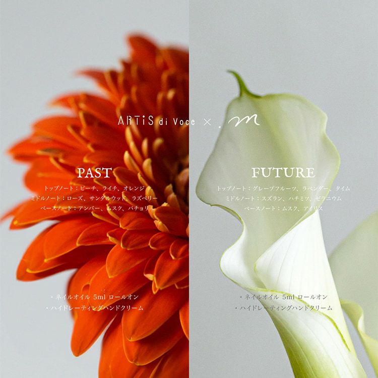 ARTiS di Voce ×.m ネイルオイル 5ml ロールオン FUTUREの通販｜ARTiS